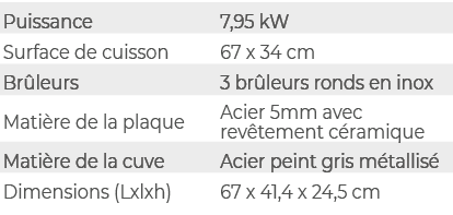 Puissance,7,95 kW,Surface de cuisson,67 x 34 cm,Br leurs,3 br leurs ronds en inox,Mati re de la plaque,Acier 5mm avec...