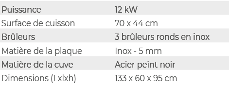 Puissance,12 kW,Surface de cuisson,70 x 44 cm,Br leurs,3 br leurs ronds en inox,Mati re de la plaque,Inox 5 mm,Mati r...