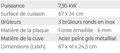 Puissance,7,95 kW,Surface de cuisson,67 x 34 cm,Br leurs,3 br leurs ronds en inox,Mati re de la plaque,Fonte maill e...