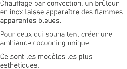 Chauffage par convection, un br leur en inox laisse appara tre des flammes apparentes bleues. Pour ceux qui souhaiten...