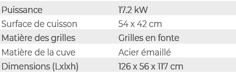Puissance,17.2 kW,Surface de cuisson,54 x 42 cm,Mati re des grilles,Grilles en fonte,Mati re de la cuve,Acier maill ...