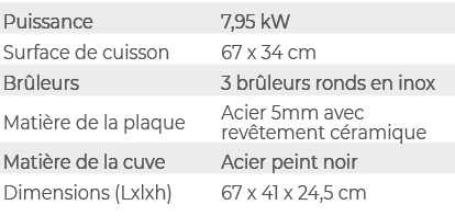 Puissance,7,95 kW,Surface de cuisson,67 x 34 cm,Br leurs,3 br leurs ronds en inox,Mati re de la plaque,Acier 5mm avec...