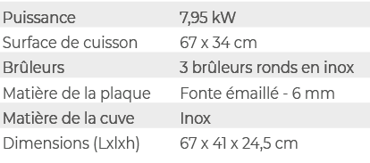 Puissance,7,95 kW,Surface de cuisson,67 x 34 cm,Br leurs,3 br leurs ronds en inox,Mati re de la plaque,Fonte maill  ...