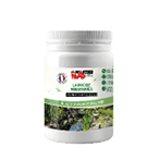 produit vendu sur www.jardins-animes.com