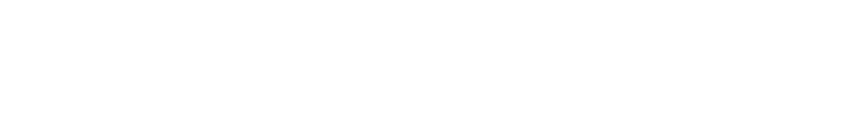 ANTI insectes volants