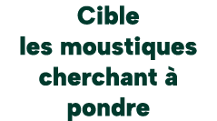 Cible les moustiques cherchant  pondre