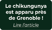 Le chikungunya est apparu pr s de Grenoble ! Lire l’article