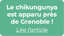 Le chikungunya est apparu pr s de Grenoble ! Lire l’article