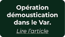 Op ration d moustication dans le Var. Lire l’article