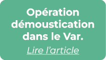 Op ration d moustication dans le Var. Lire l’article