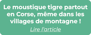 Le moustique tigre partout en Corse, m me dans les villages de montagne ! Lire l’article