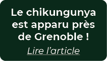 Le chikungunya est apparu pr s de Grenoble ! Lire l’article