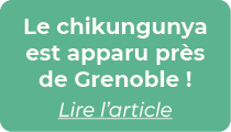 Le chikungunya est apparu pr s de Grenoble ! Lire l’article
