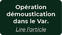 Op ration d moustication dans le Var. Lire l’article