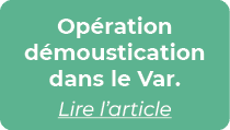 Op ration d moustication dans le Var. Lire l’article