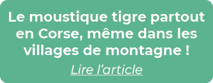 Le moustique tigre partout en Corse, m me dans les villages de montagne ! Lire l’article