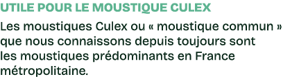 Utile pour le moustique CULEX Les moustiques Culex ou « moustique commun » que nous connaissons depuis toujours sont ...