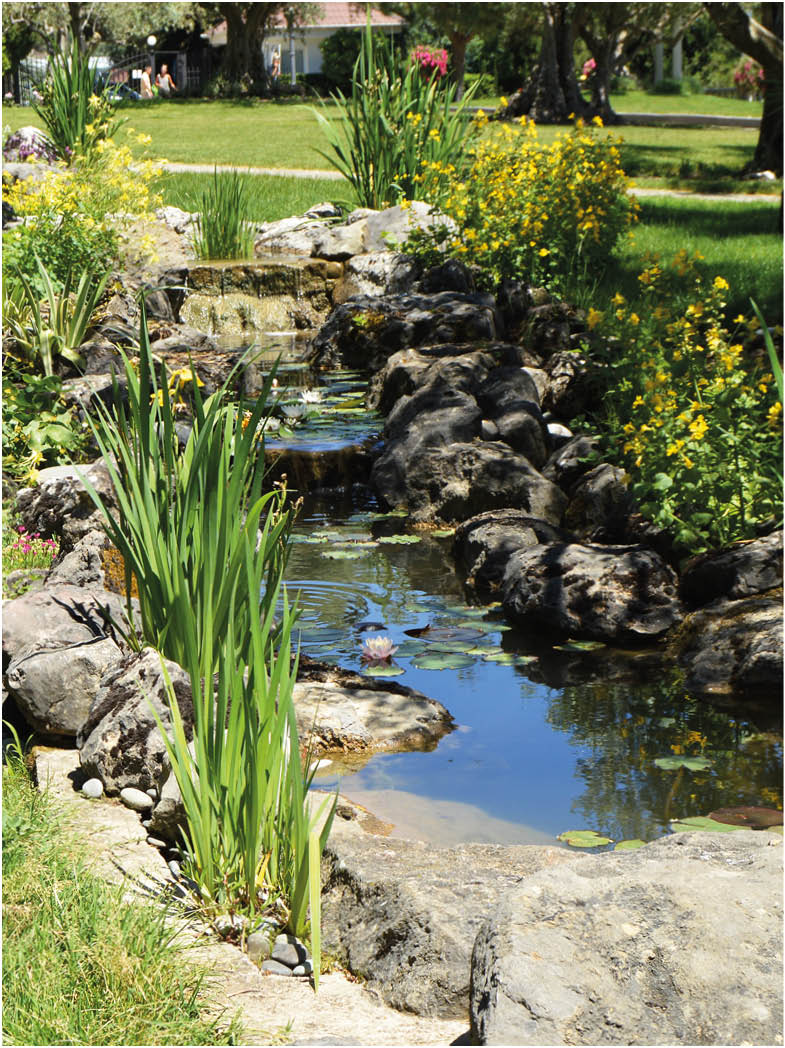 Beautiful pond and Creek with rocks and flowers in the Park this June 3, 2018 Crimea.