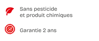  ,Sans pesticide et produit chimiques,￼,Garantie 2 ans