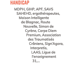 Handicap MDPH, GIHP, APF, SAVS SAHEHD, ergoth rapeutes, Maison Intelligente de Blagnac, Route Nouvelle, Simon de Cyr ...